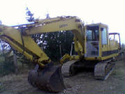 CAT_215.jpg