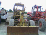 FAUN_FRISH-1.jpg